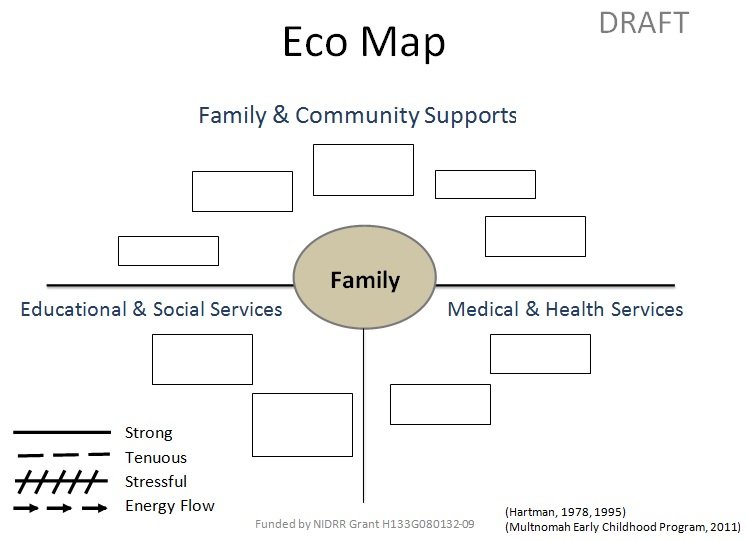 ecomap template 2